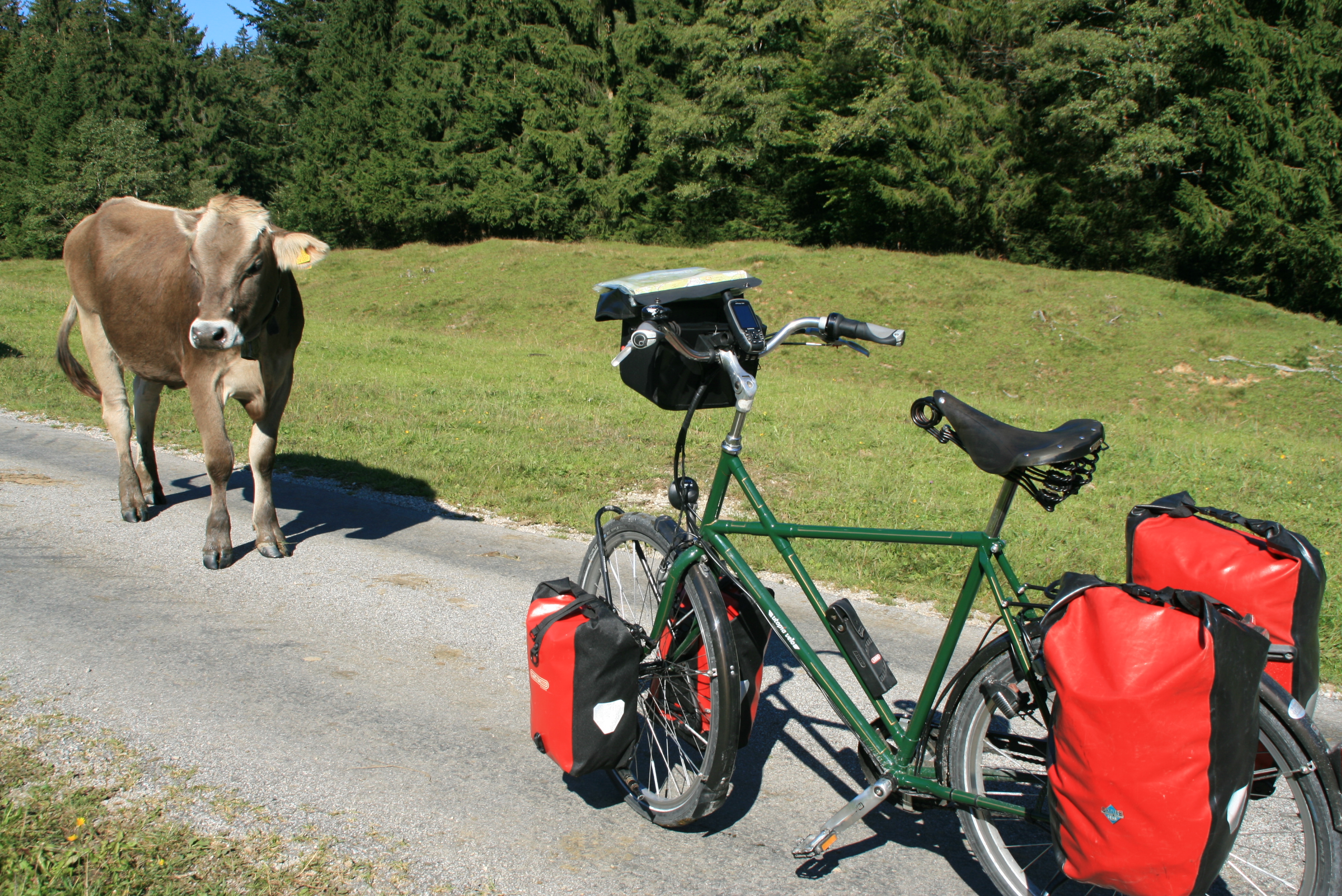 Die lebt Leser-Erfahrungen mit Magura - Radtourenmagazin