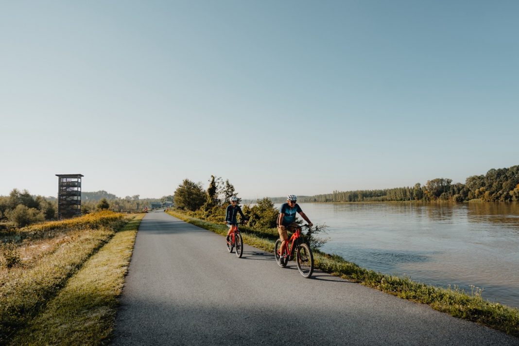 Gross RadfahrerAmDonauradwegAuDonau19©WGDDonauOberoesterreichTourismusGmbHCMVisuals4