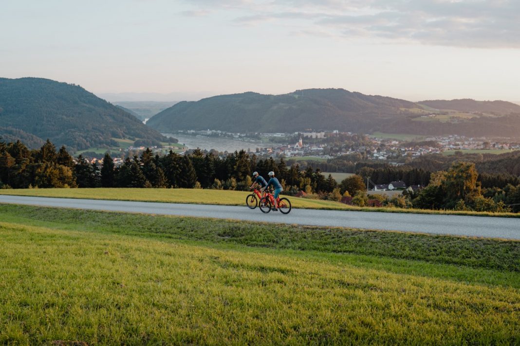 Gross RadtourDonauradwegBlickAufGreinPerg11©WGDDonauOberoesterreichTourismusGmbHCMVisuals6