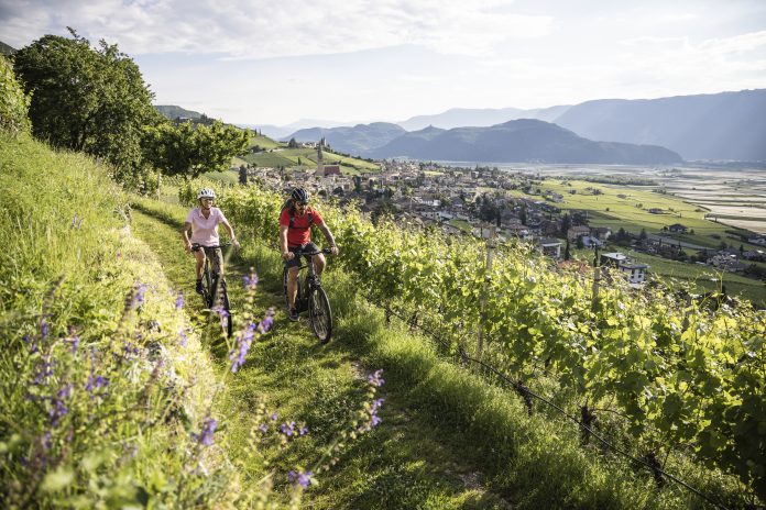 Tramin_©Velontour (17)