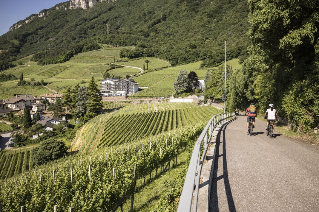 Tramin ©Velontour 46
