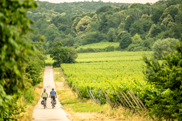 Radtour durchs Weinland am Flaggenturm Bad Dürkheim