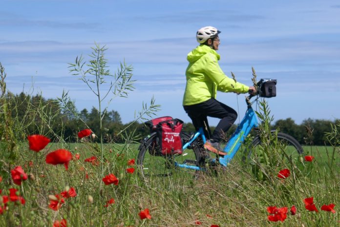 Groß (Berlin-Kopenhagen-266K)