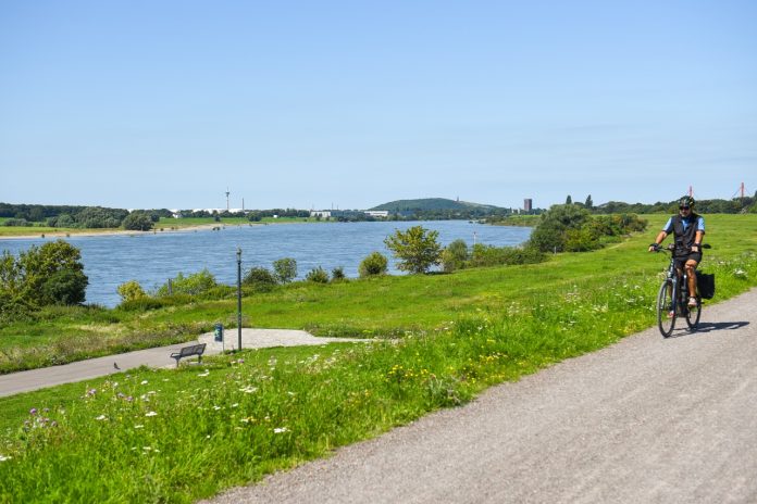 Groß (Rhein bei Duisburg 19)