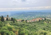 Toskana: Olivenbäume, Romanik und ein schiefer Turm Toskana