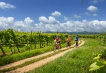 Radurlaub Südtirol: Die 4 schönsten Eurobike-Radtouren Radfahrer fahren von Bozen nach Venedig