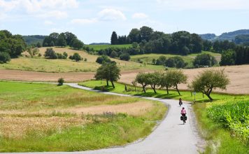Gross 1b Sanfte Huegellandschaft bei Brandau