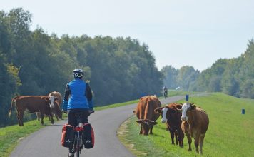 Gross Theiss Radweg – Thorsten Broenner 08 2