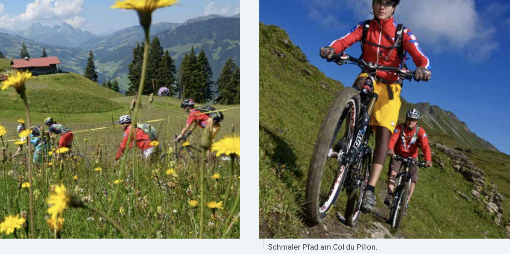 Schweiz: Noble Trails durch himmlische Gefilde 2 Schmaler Pfad am Col du Pillon ©Norbert Eisele-Hein