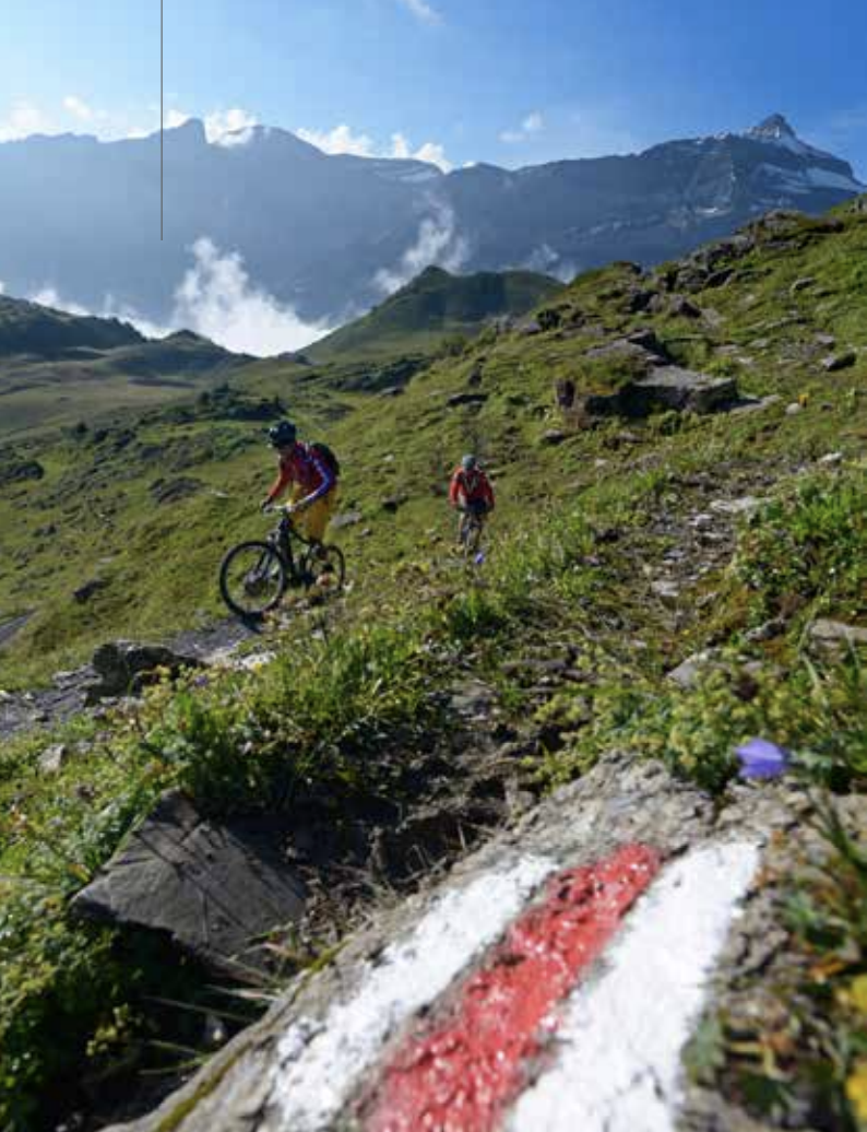 Schweiz: Noble Trails durch himmlische Gefilde 3 Markierung Bikerrouten Schweiz ©Norbert Eisele-Hein